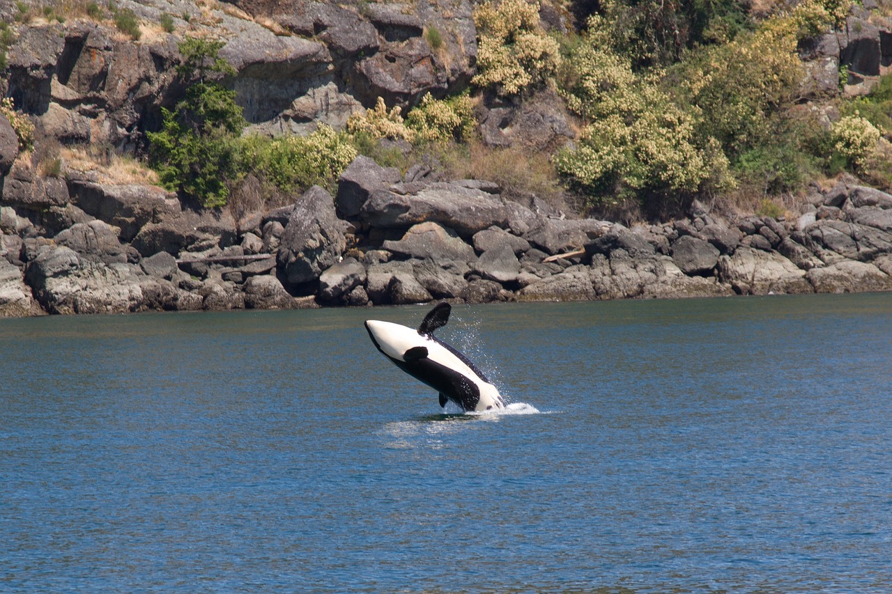 Gabriola Island Spa Retreats